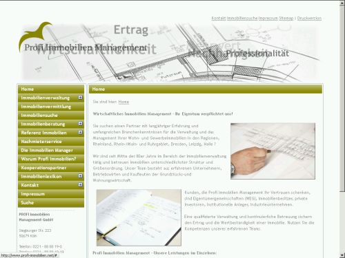 Profi Immobilien Management - Themenfindung der Website Inhalte